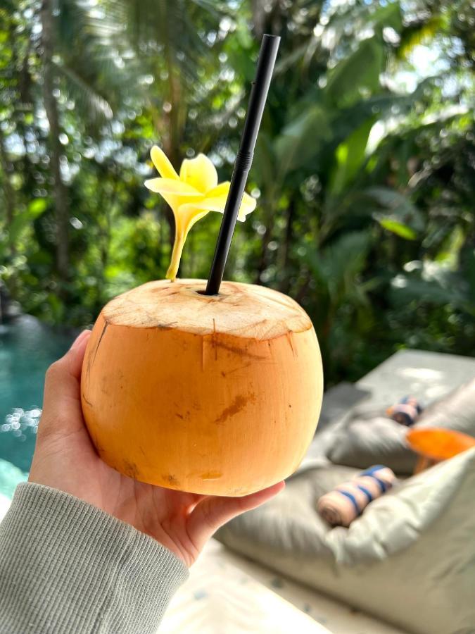 Nirankara Ubud Villa Zewnętrze zdjęcie